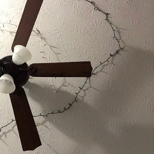 Meet your Posher, Samuel